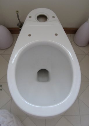 Installation of the toilet bowl seal